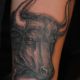 Black and Grey Bull - Rayzor Tattoos - Harrisburg Tattoo Studio - Ray Young - Tattoo Artist