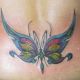 color-butterfly-fine-line-detail-tattoo-ray-young-traditional-tattoos-parlor-shop-camp-hill-highspire