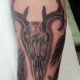 Deer Skull Freehand - Rayzor Tattoos - Harrisburg Tattoo Studio - Ray Young - Tattoo Artist