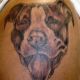 Dog Portrait - Rayzor Tattoos - Harrisburg Tattoo Studio - Ray Young - Tattoo Artist
