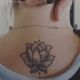 fine-line-detail-lotus-tattoo-women-nect-back-tattoos-harrisburg-highspire