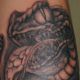 Snake Arm Wrap - Rayzor Tattoos - Hershey Tattoo Shop - Ray Young